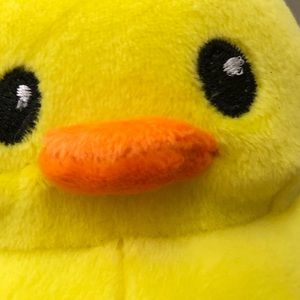 Meet your Posher, Camden